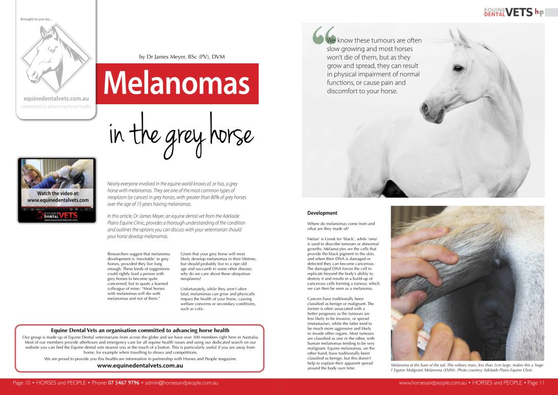 Read published articles from Vet Professionals