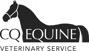 Equine Dental Vets | Australia